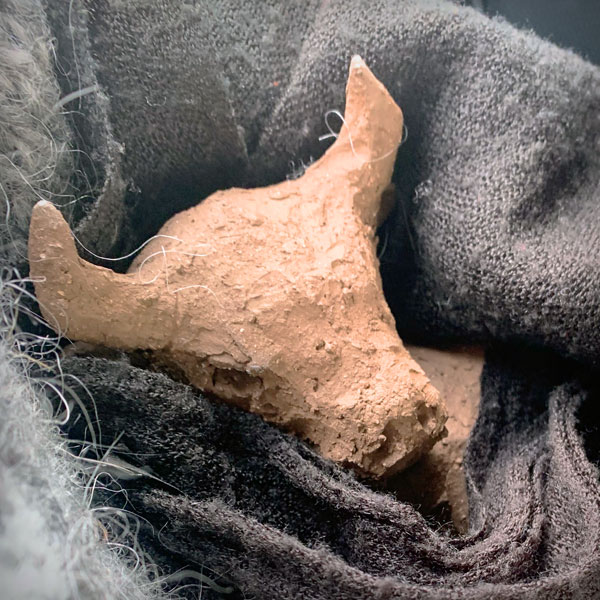 A head of a bull made out of clay wraped in a woolen cloth