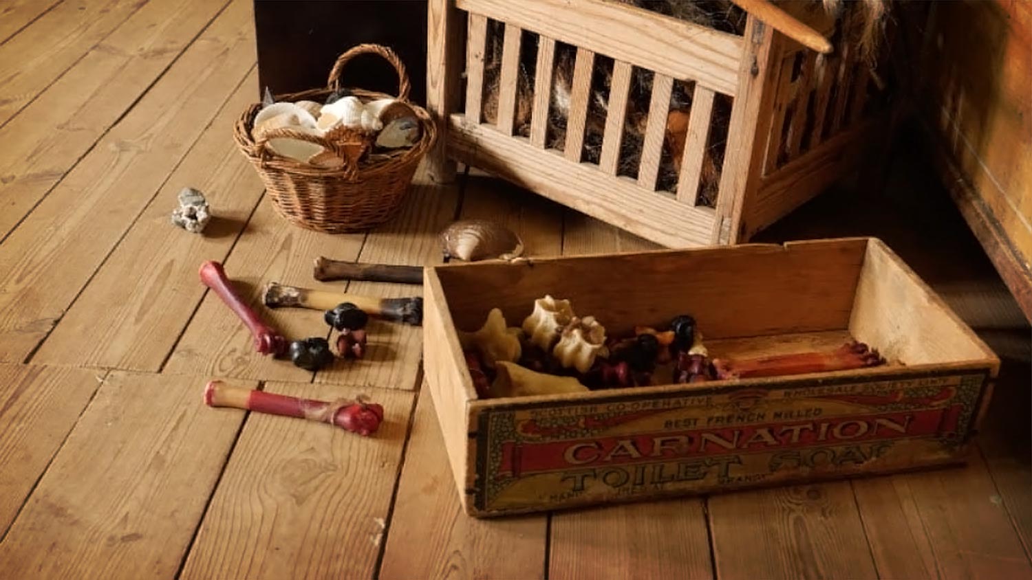 An old wooden box with old fashioned playthings, bones.
